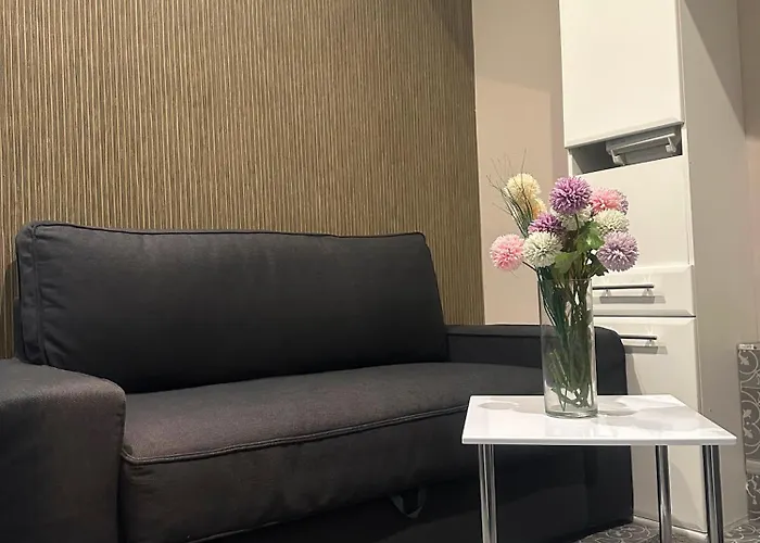 公寓 Bina Ferien-apartments 特里尔